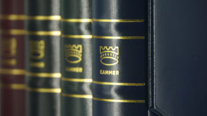 Kammer Queen папка альбом для монет та банкнот - Зображення 3