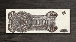 Банкнота Молдова 1000 купонів - 1992 рік - реверс