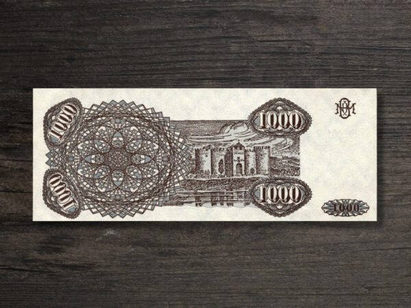 Банкнота Молдова 1000 купонів - 1992 рік - реверс