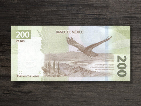 Банкнота Мексика 200 песо - 2021 рік - реверс