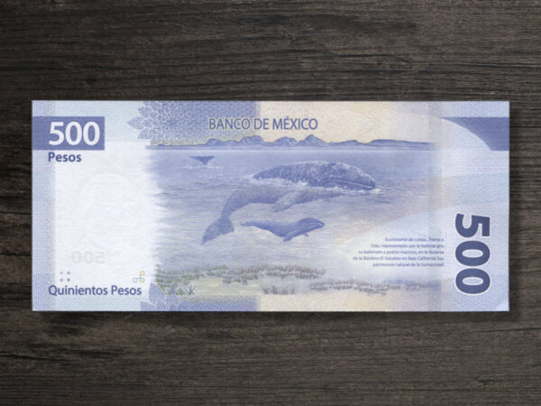 Банкнота Мексика 500 песо - 2019 рік - реверс