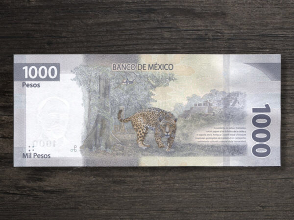 Банкнота Мексика 1000 песо - 2021 рік - реверс