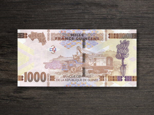 Банкнота Гвінея 1000 франків - 2017 рік - реверс