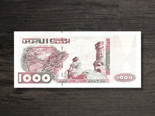 Банкнота Алжир 1000 динарів - 1998 рік - реверс