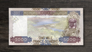 Банкнота Гвінея 5000 франків - 2006 рік - реверс