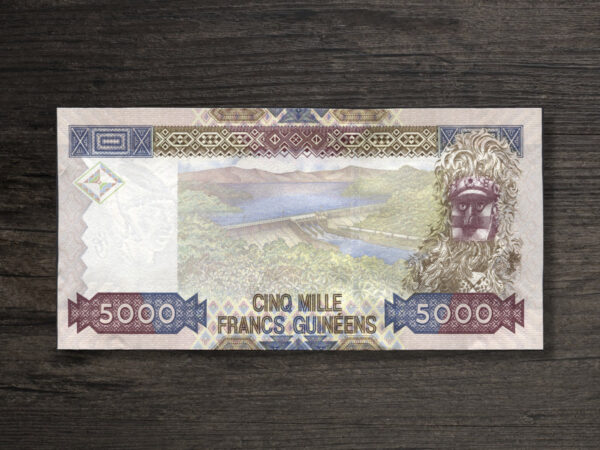 Банкнота Гвінея 5000 франків - 2006 рік - реверс