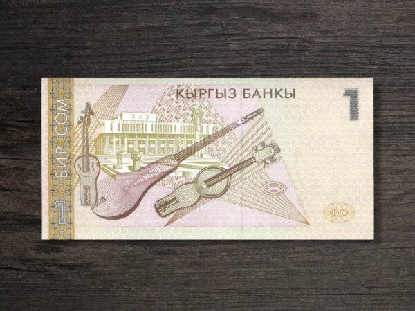 Банкнота Киргизстан 1 сом - 1999 рік - реверс